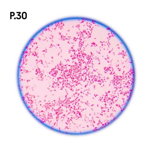 Přírodopis_motiv30.jpg Přírodopis_motiv30.jpg